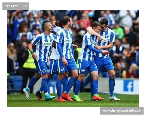 南安普顿与布莱顿,新赛季的团队凝聚力